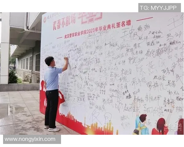 武汉羽毛球队的辉煌征程与冠军赛背后的奋斗故事