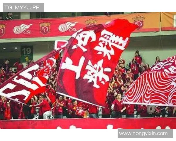 上海上港迎战恒丰期待精彩对决双方球员状态回暖争夺胜利荣耀