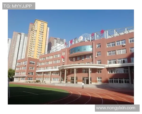 于德豪的奋斗历程与成功秘诀探讨：从平凡到卓越的成长之路