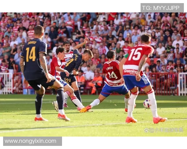 奥德与博德精彩对决直播全程回顾及赛后分析