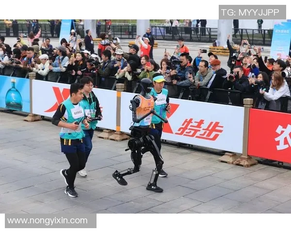 成都攀岩队在极限运动会中的意识表现分析与点评MBA