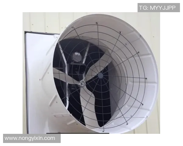 探索Vs10实验快艇的创新设计与未来发展潜力分析