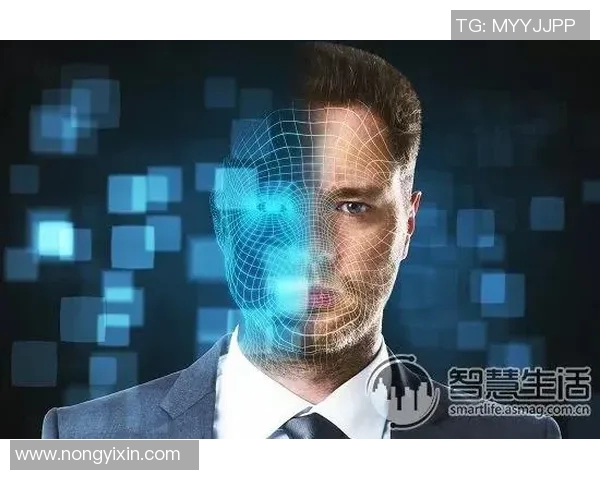 深圳飞盘队技术解析：从基础到战术的全面探讨与提升之路