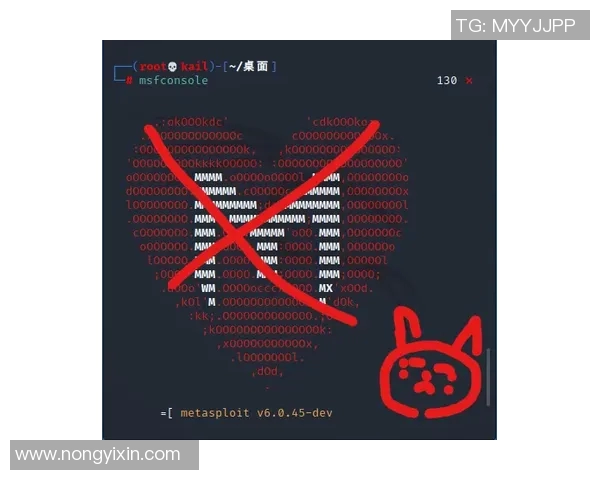 武汉街舞队进攻策略深度分析与战术解读